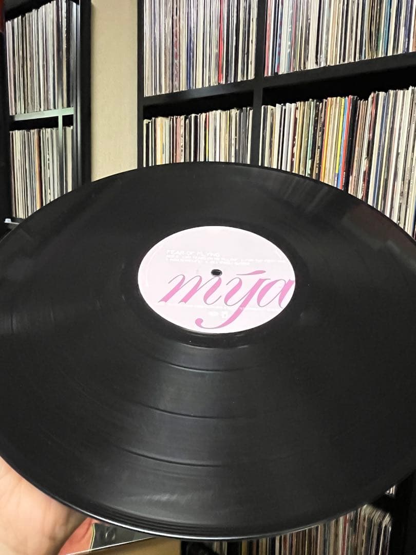 Mya / Fear Of Flying 2枚組LPレコード