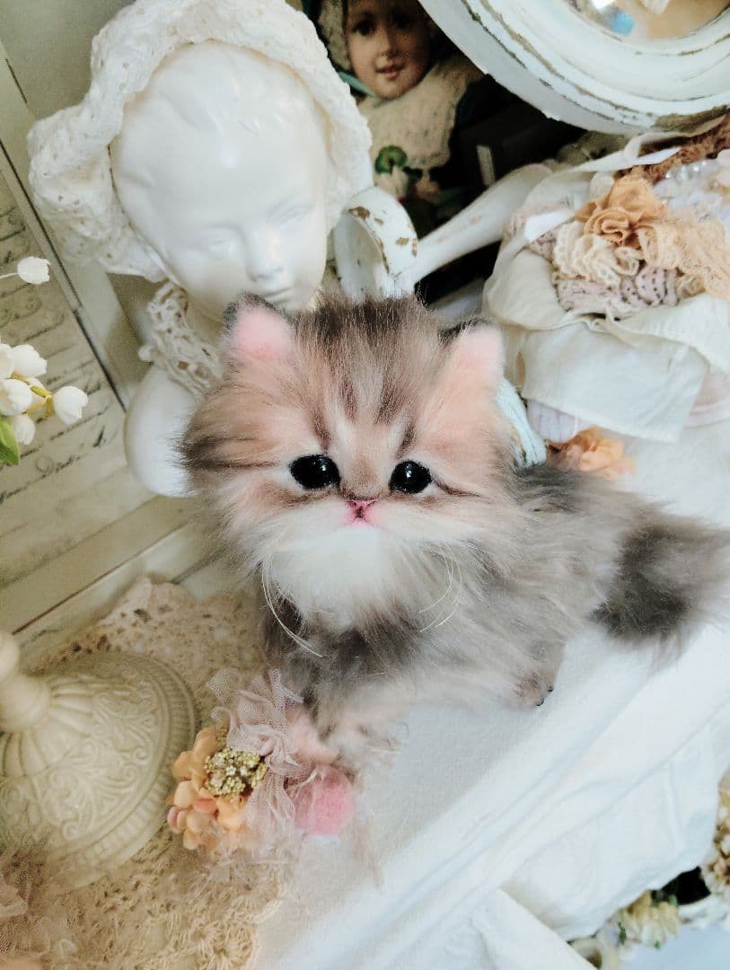 チンチラゴールデン子猫♡まこちゃん♡アートドール♡ぬいぐるみ♡