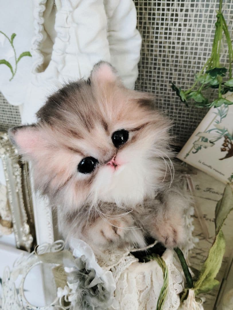 チンチラゴールデン子猫♡まこちゃん♡アートドール♡ぬいぐるみ♡