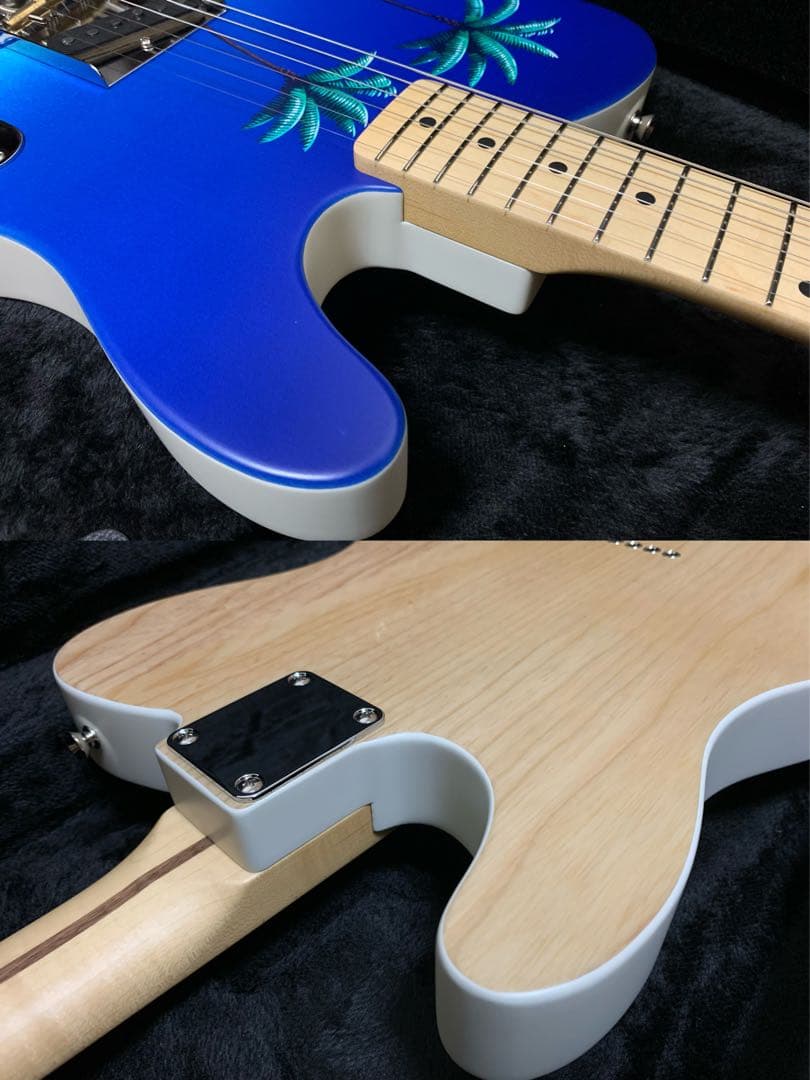 ギター Fender JAPAN ART CANVAS HIROSHI NAGAI