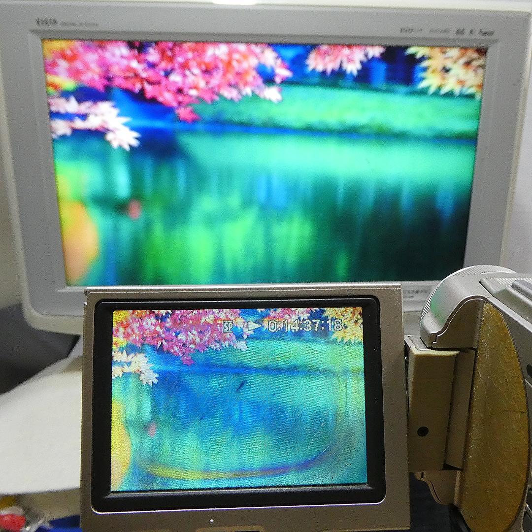 ソニー DCR-TRV10【動作品 】 MiniDVビデオカメラ　ダビングに最適