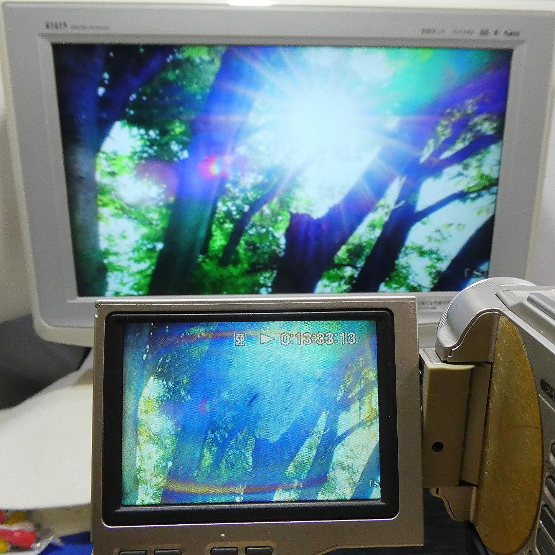 ソニー DCR-TRV10【動作品 】 MiniDVビデオカメラ　ダビングに最適