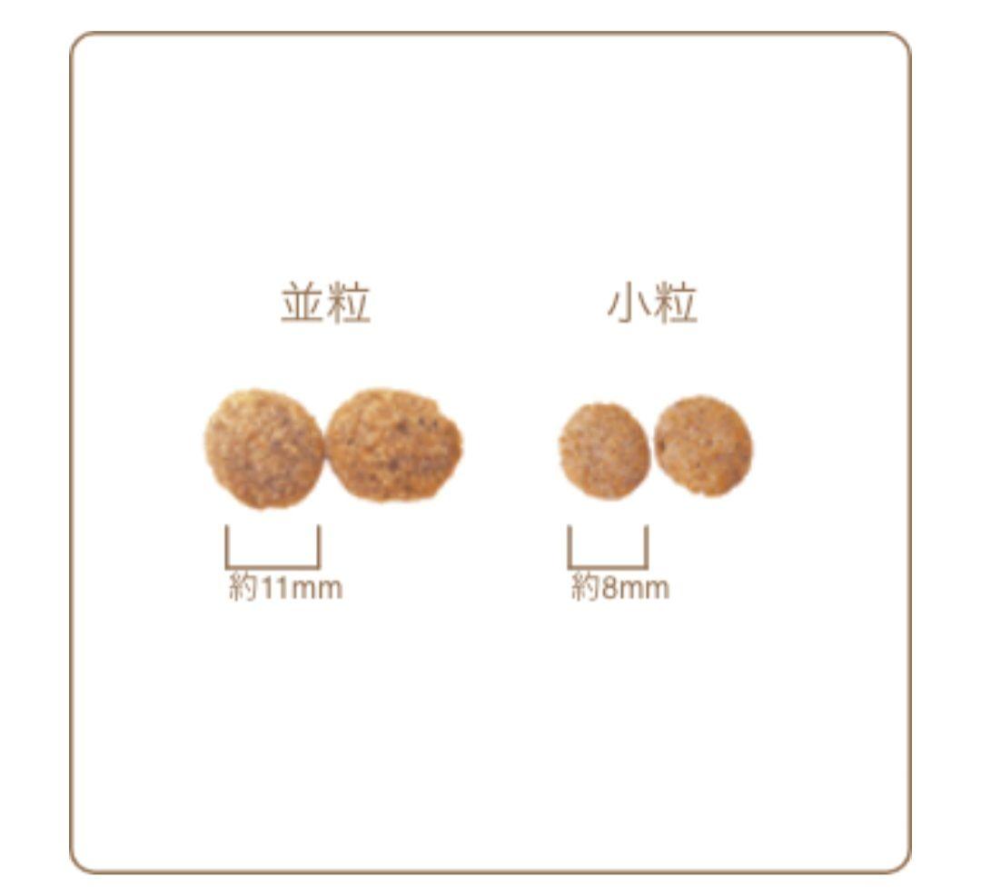 【24時間以内発送】AZ アゼット アダルト 小粒 10kg