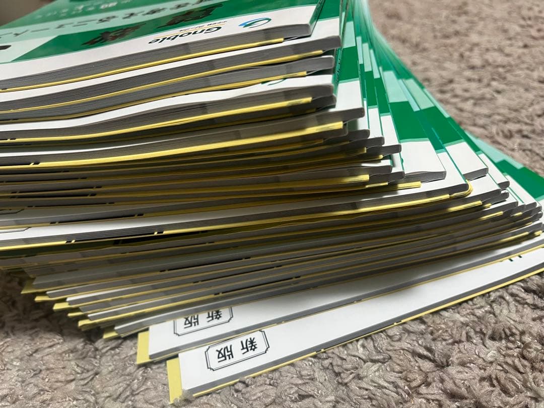 ★最終お値下げ★【2025受験】グノーブルG脳 ワークアウト 5年 28冊セット