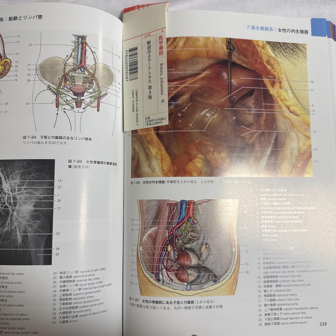 クロア　解剖学カラーアトラス