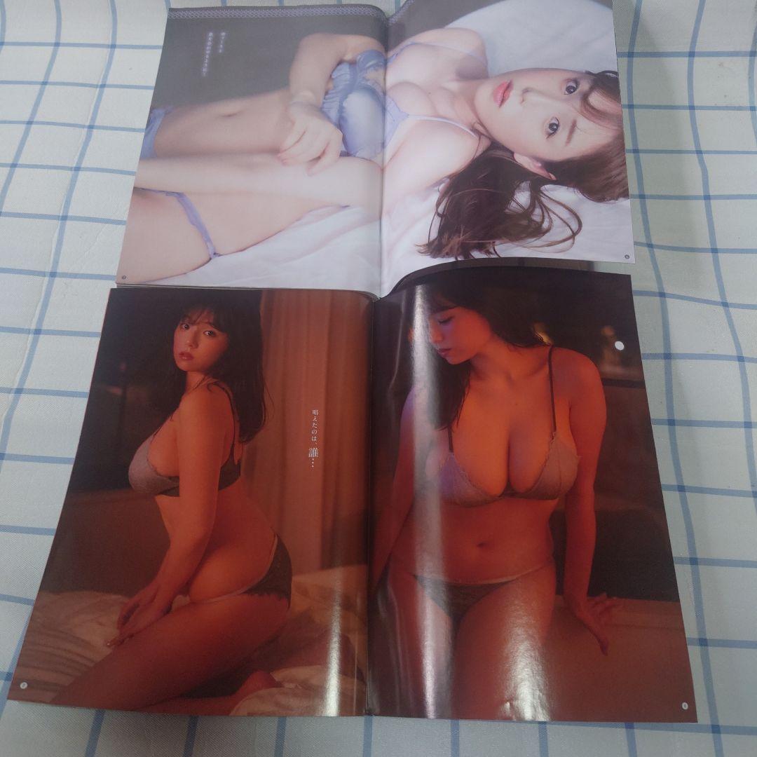 篠崎愛さんのグラビア掲載漫画雑誌 ヤングチャンピオン１０冊セット