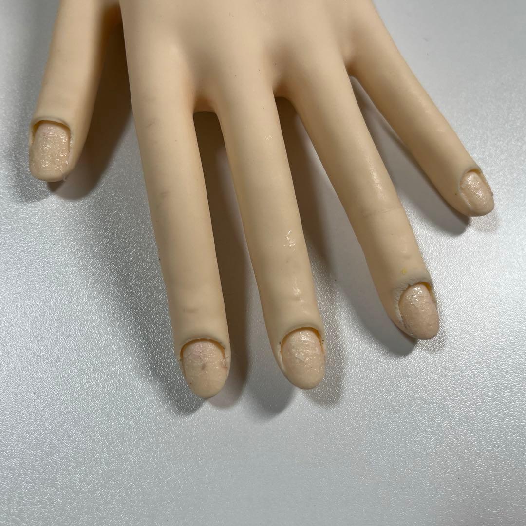 『ネイリスト試験』　モデルハンド