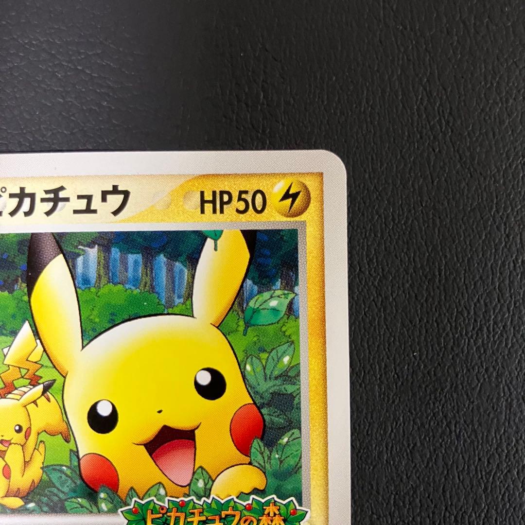 ポケパークのピカチュウ 043/pcg-p ポケモンカード
