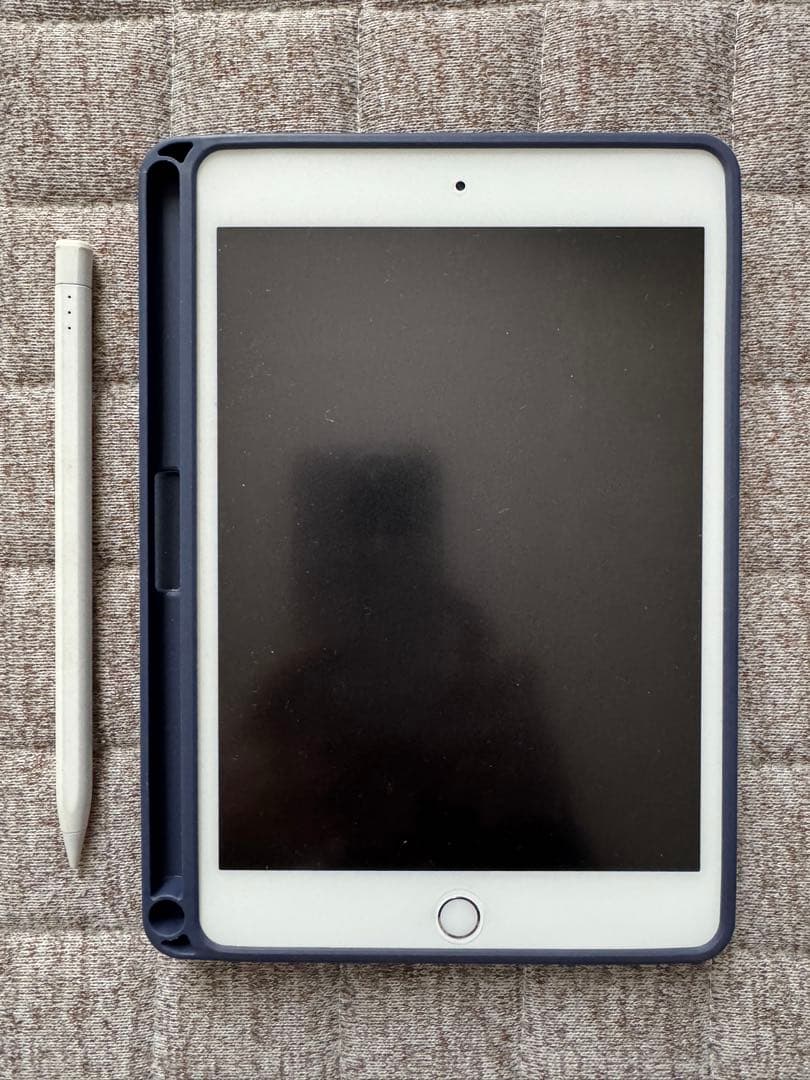 iPad mini5 （2019) 64 GB 4G セルラーモデル