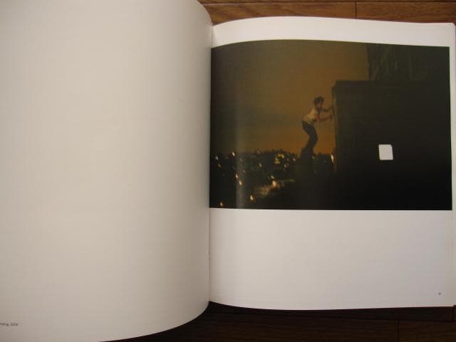 Ryan McGinley：Whistle for the Wind