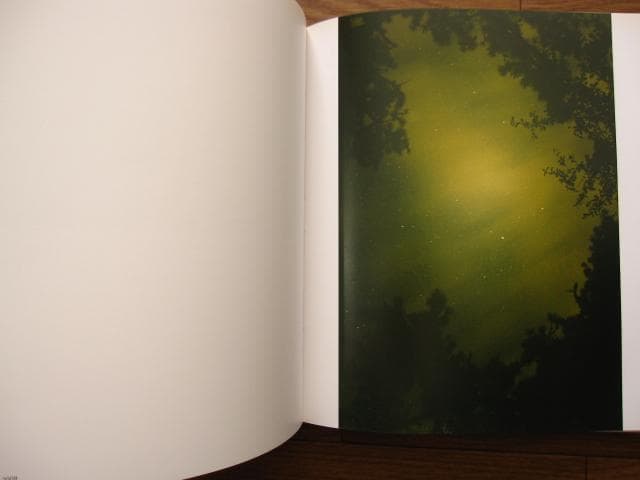Ryan McGinley：Whistle for the Wind