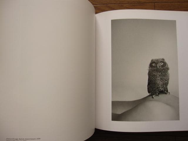 Ryan McGinley：Whistle for the Wind