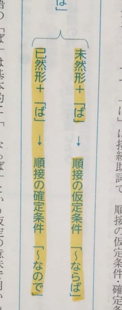 2025 四谷学院 55マスター現代文 古文漢文 まとめ売り