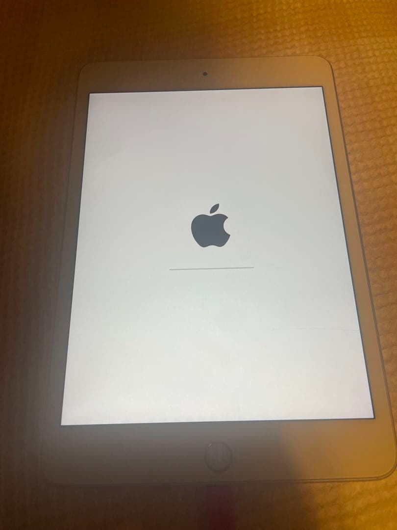 iPad本体 Apple iPad mini5 16gb Wi-Fi