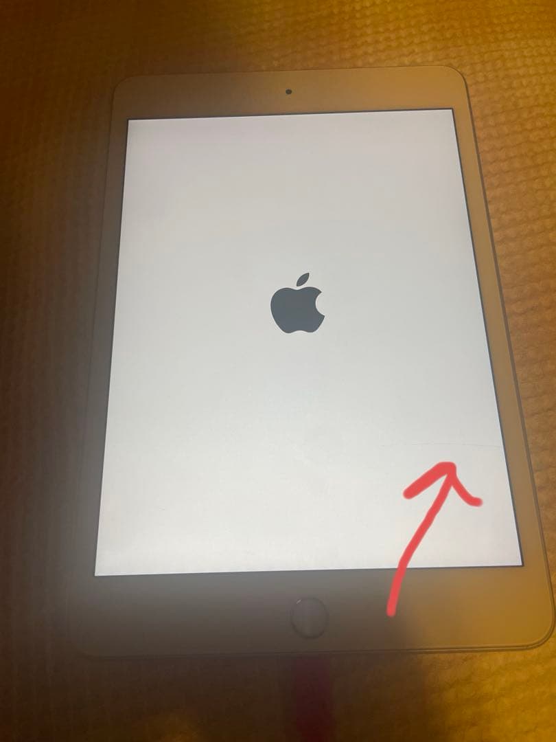 iPad本体 Apple iPad mini5 16gb Wi-Fi