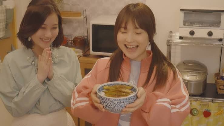 【廃盤】めんつゆひとり飯 DVDBOX 4枚組 鞘師 里保 グルメ