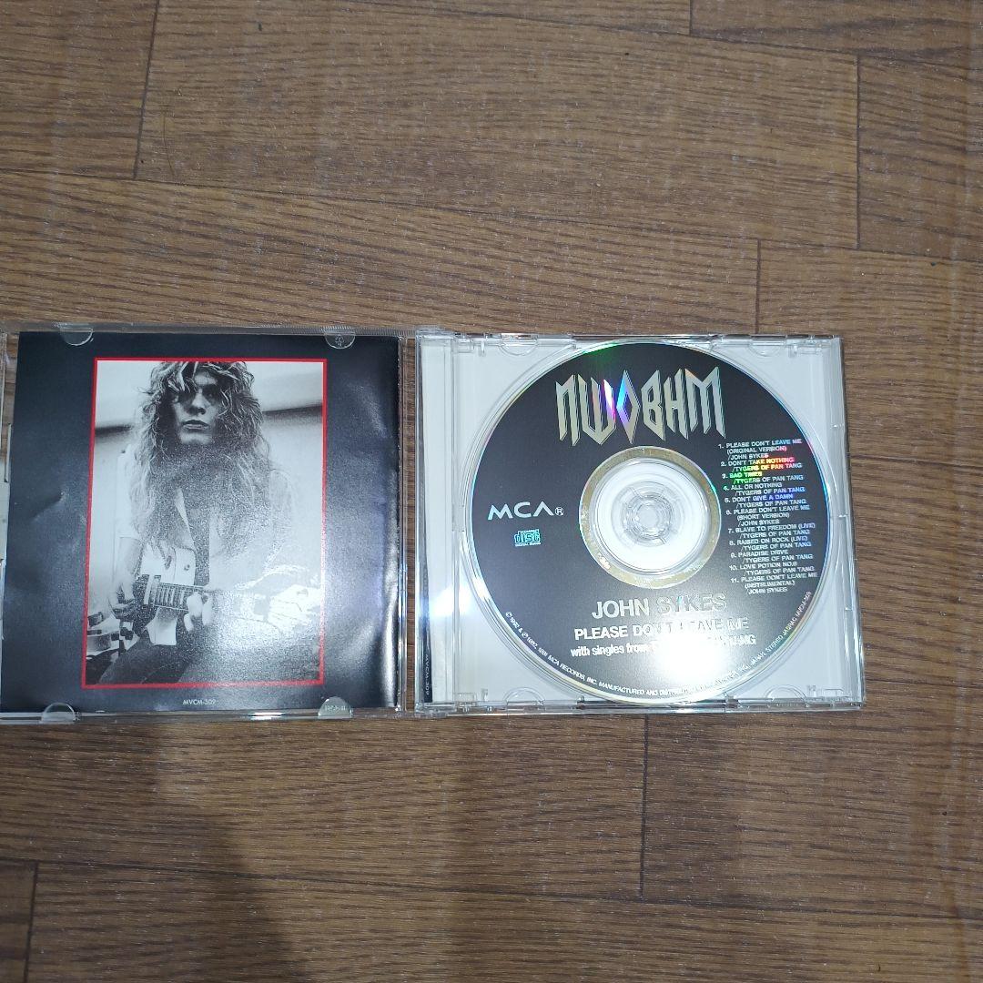 激レアJohn Sykes Please Don't Leave Me CD