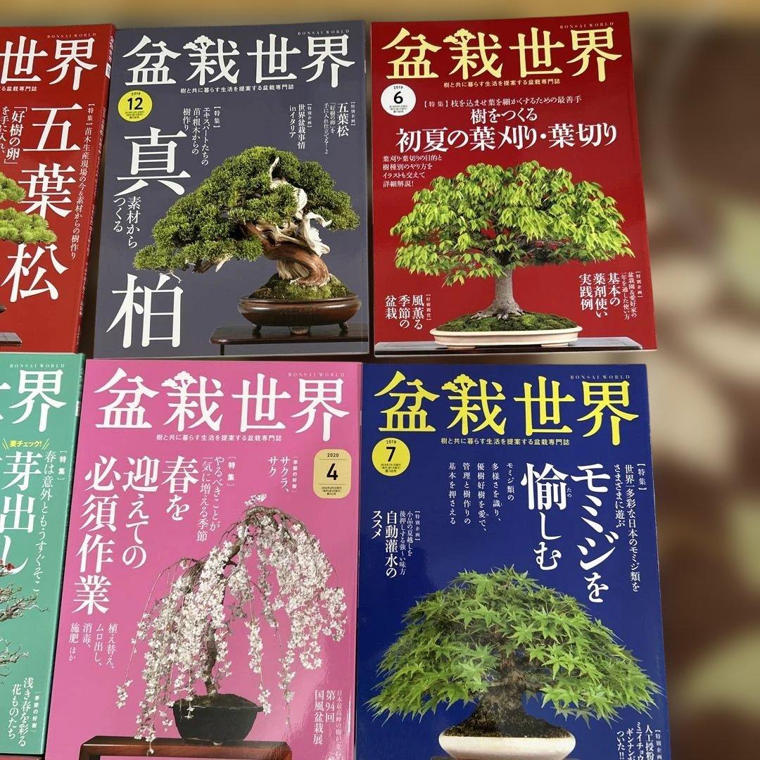 盆栽世界 23冊