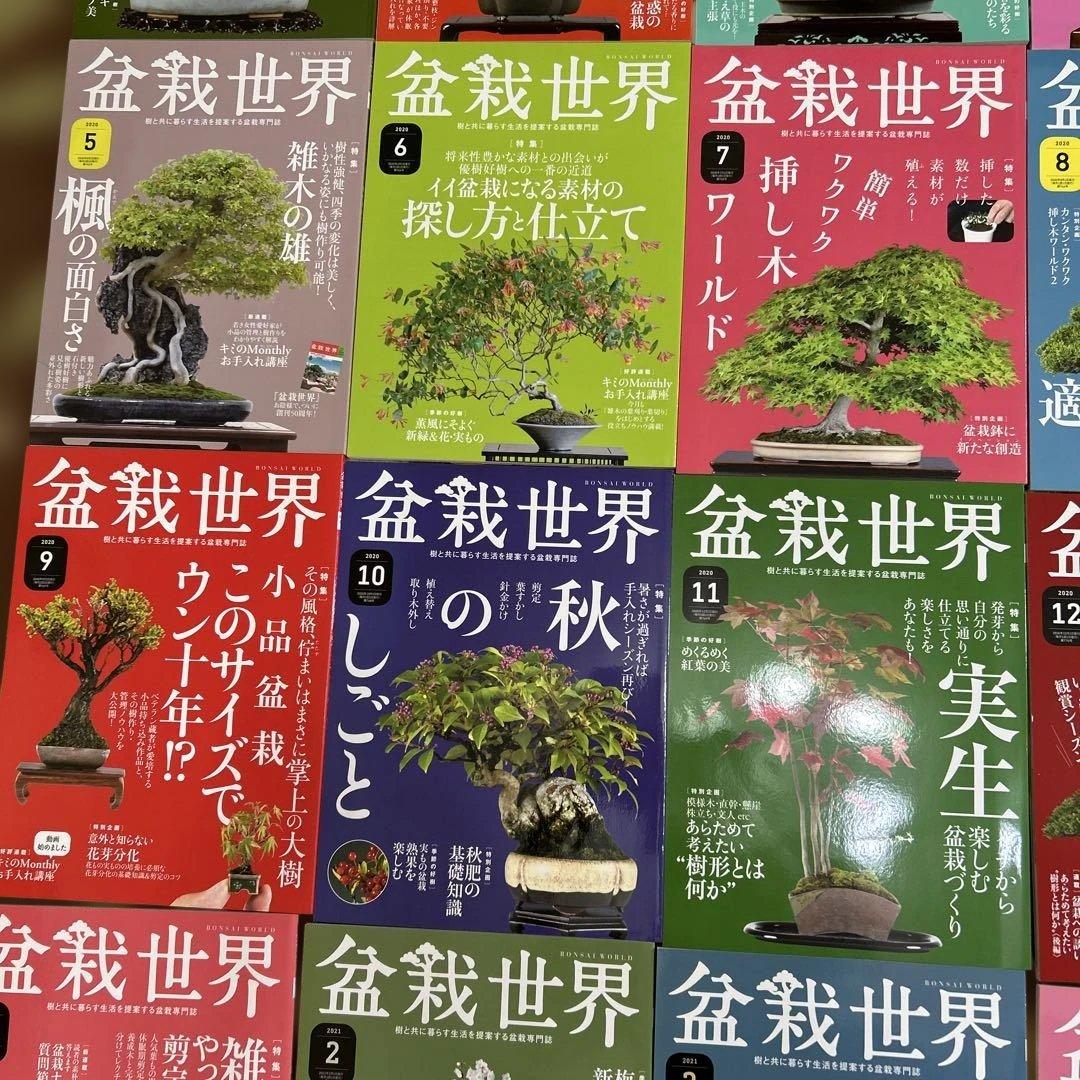 盆栽世界 23冊