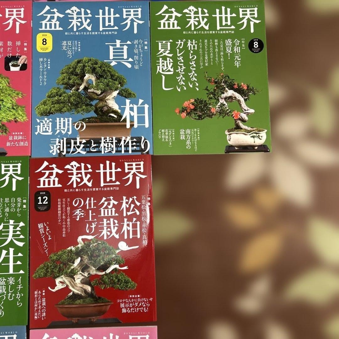 盆栽世界 23冊