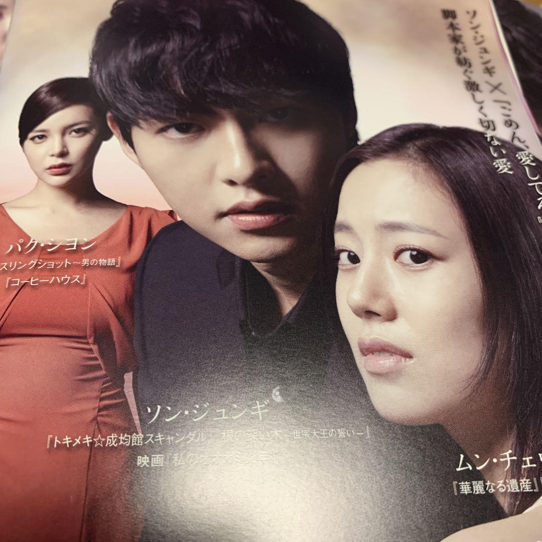 韓国ドラマ《優しい男》【全話】【日本語吹き替え版】【レンタル落ちDVD】