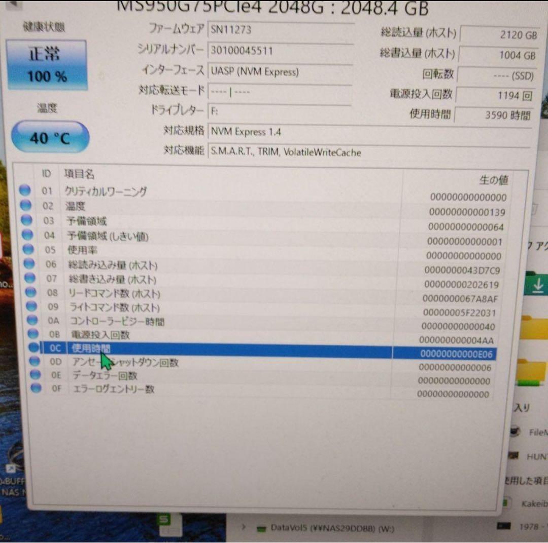 内蔵型SSD MONSTER 2TB MS950 NVMe SSD