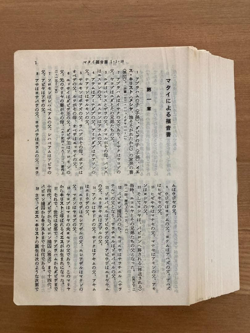 【裁断済み】 詳訳聖書