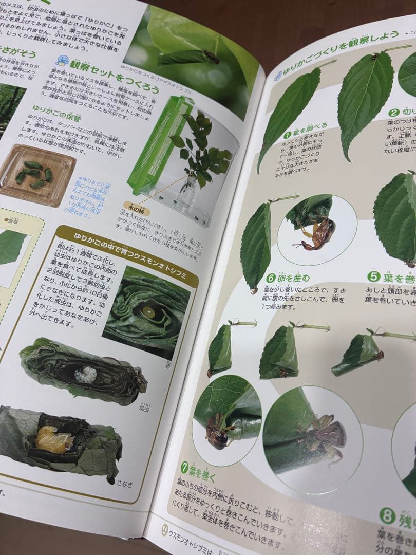 小学館の図鑑NEO 17冊セット　　おまけあり