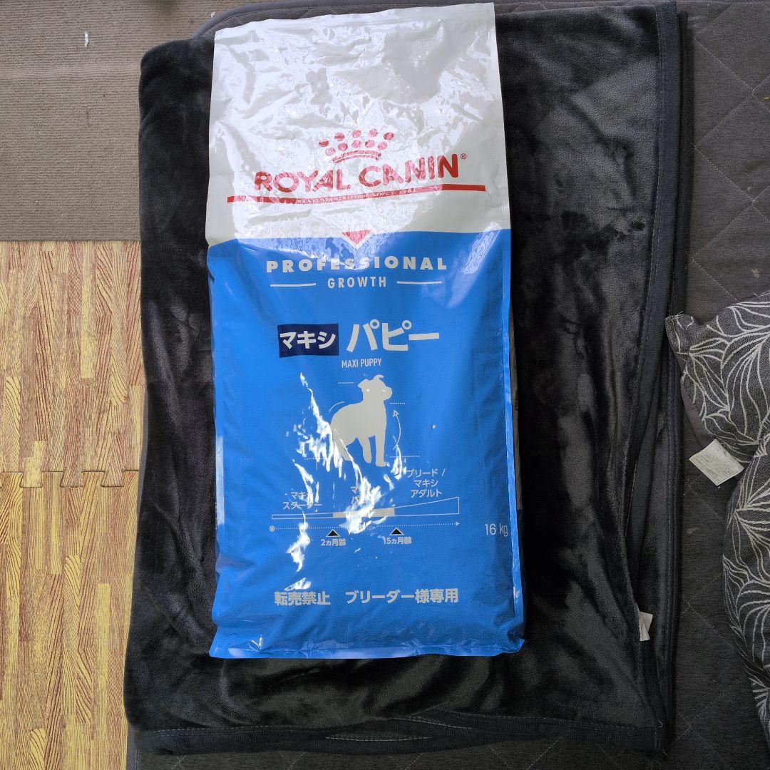 CANIN マキシ パピー 16kg