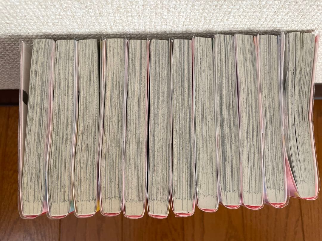 主人恋日記 全12巻 吉永ゆう　全巻セット