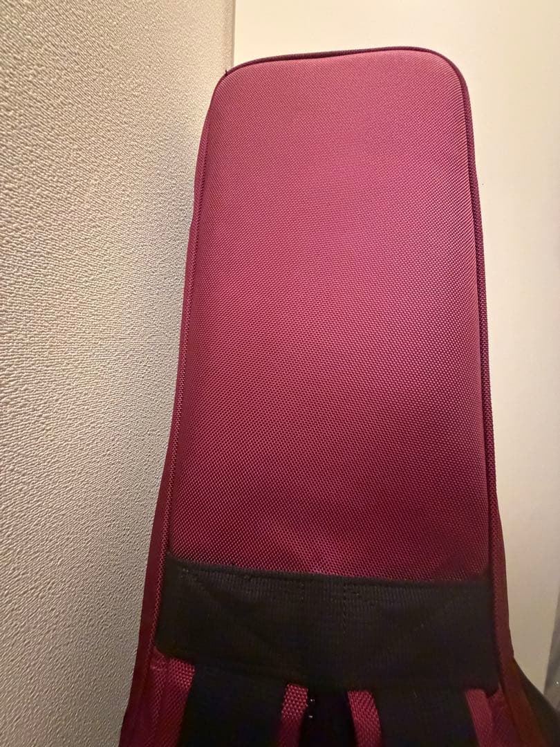 恵*寿様 Epiphone LESPAUL STANDARD PROレスポールエ