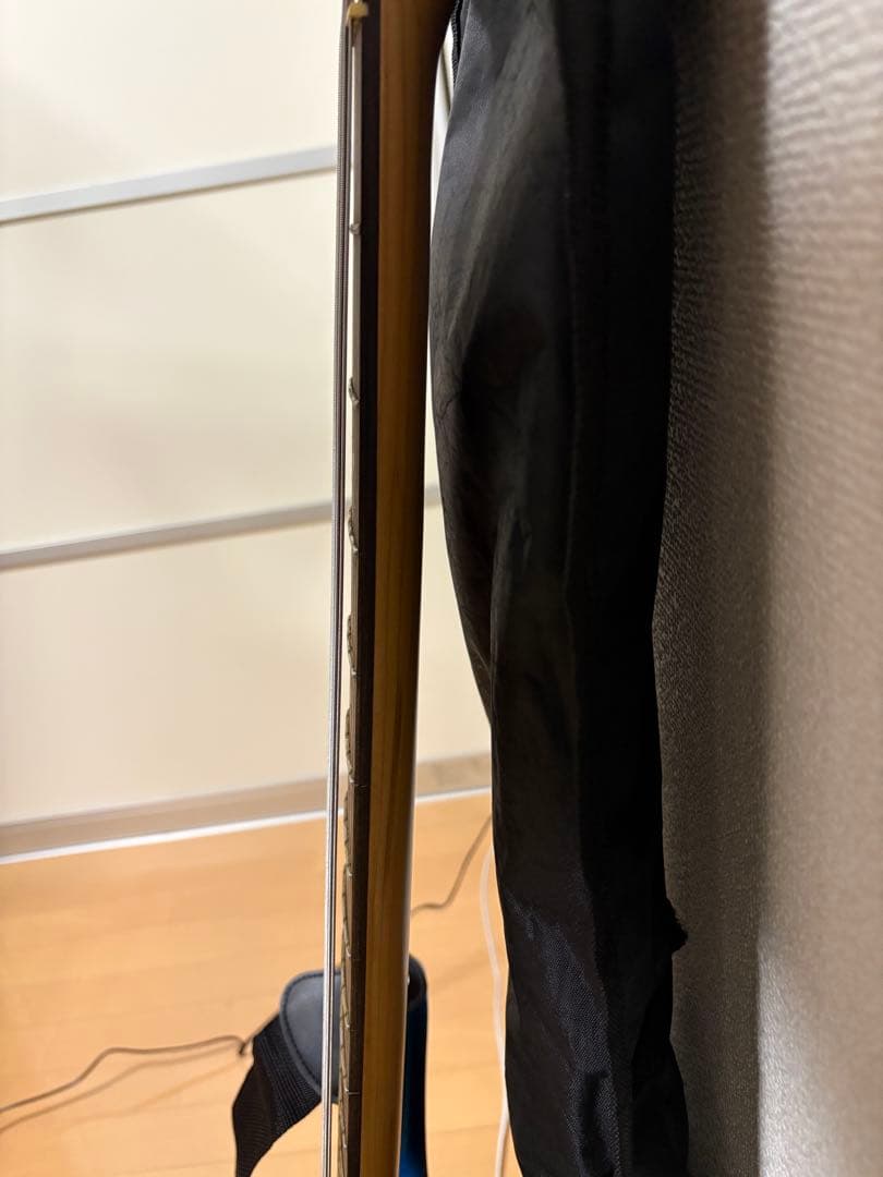 エレキベース フォトジェニック