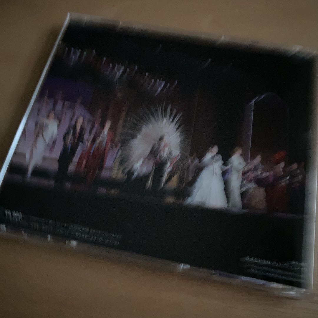 宝塚歌劇雪組公演・実況 三井住友VISAカードミュージカル「ファントム」