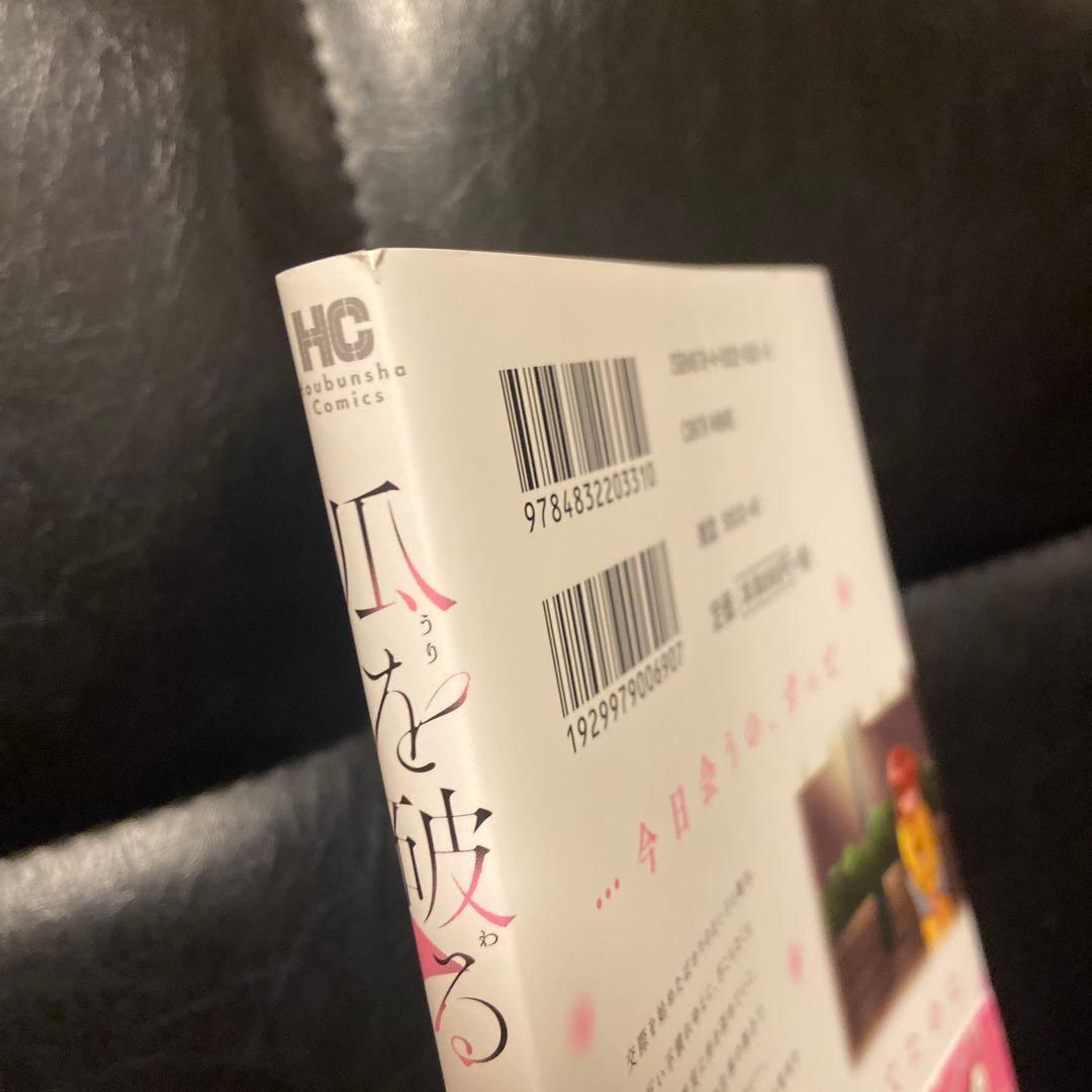 瓜を破る 既刊全巻(1〜13巻)
