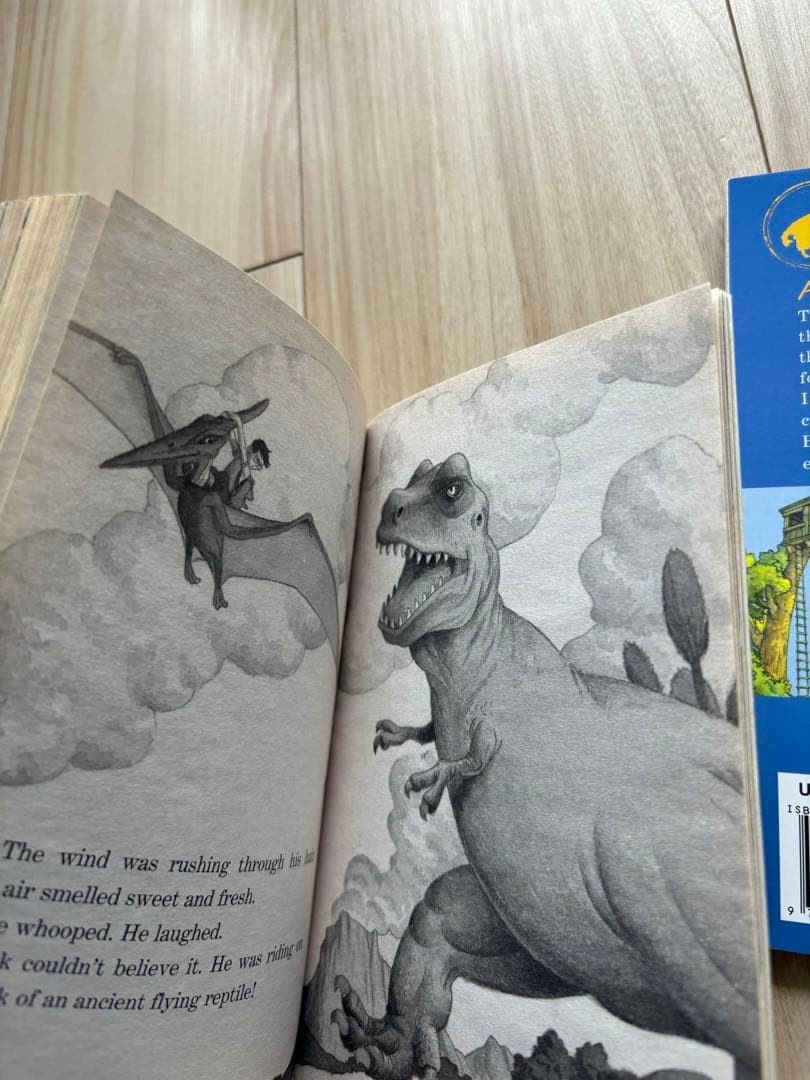 MAGIC TREE HOUSE BOOKS#1-12 3セット♪