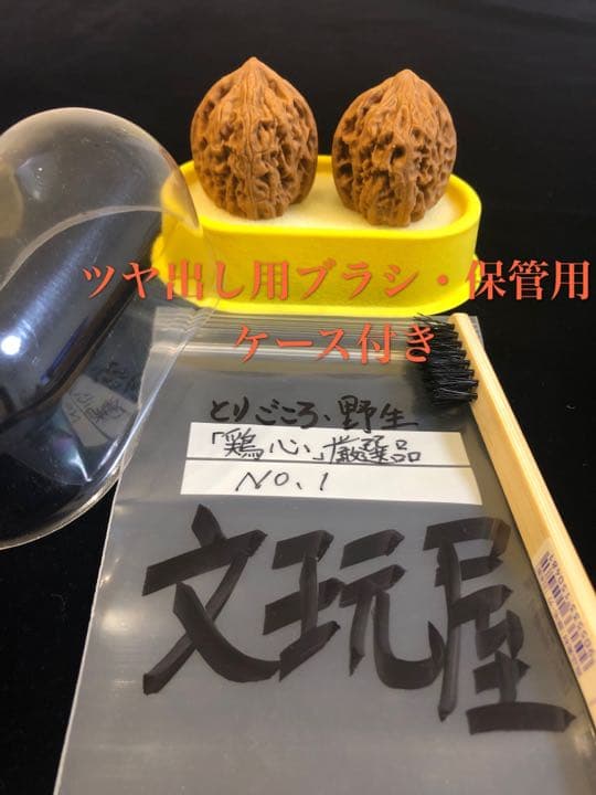 遊び胡桃 厳選品 野生 鶏心（とりごころ）No.1 くるみ 趣味 コレクション