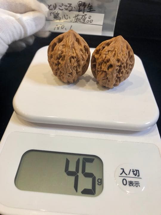 遊び胡桃 厳選品 野生 鶏心（とりごころ）No.1 くるみ 趣味 コレクション