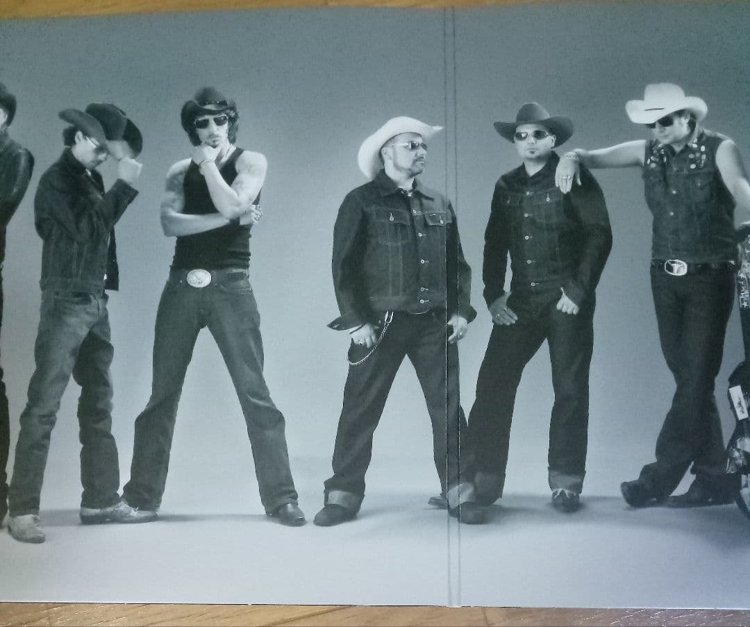 洋楽 THE BOSSHOSS - STALLION BATTALION