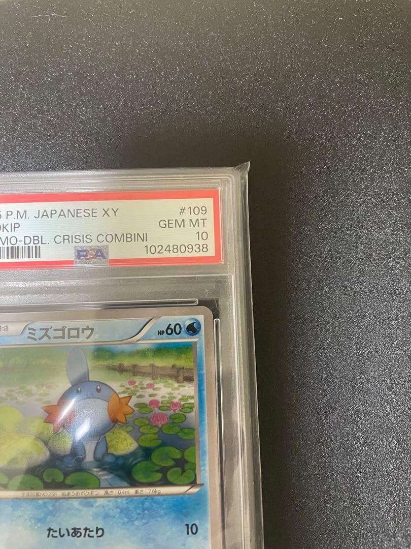 ミズゴロウ XY-P 109 PSA10 ダブルクライシスプロモ