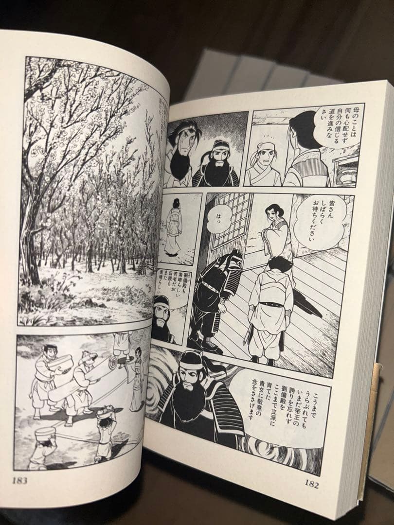 三国志30巻セット　マンガ　横山光輝