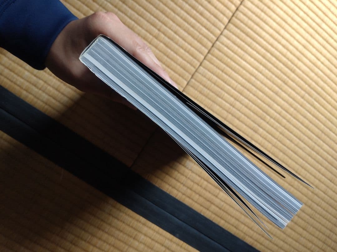 マブラヴオルタネイティヴ公式メカ設定資料集