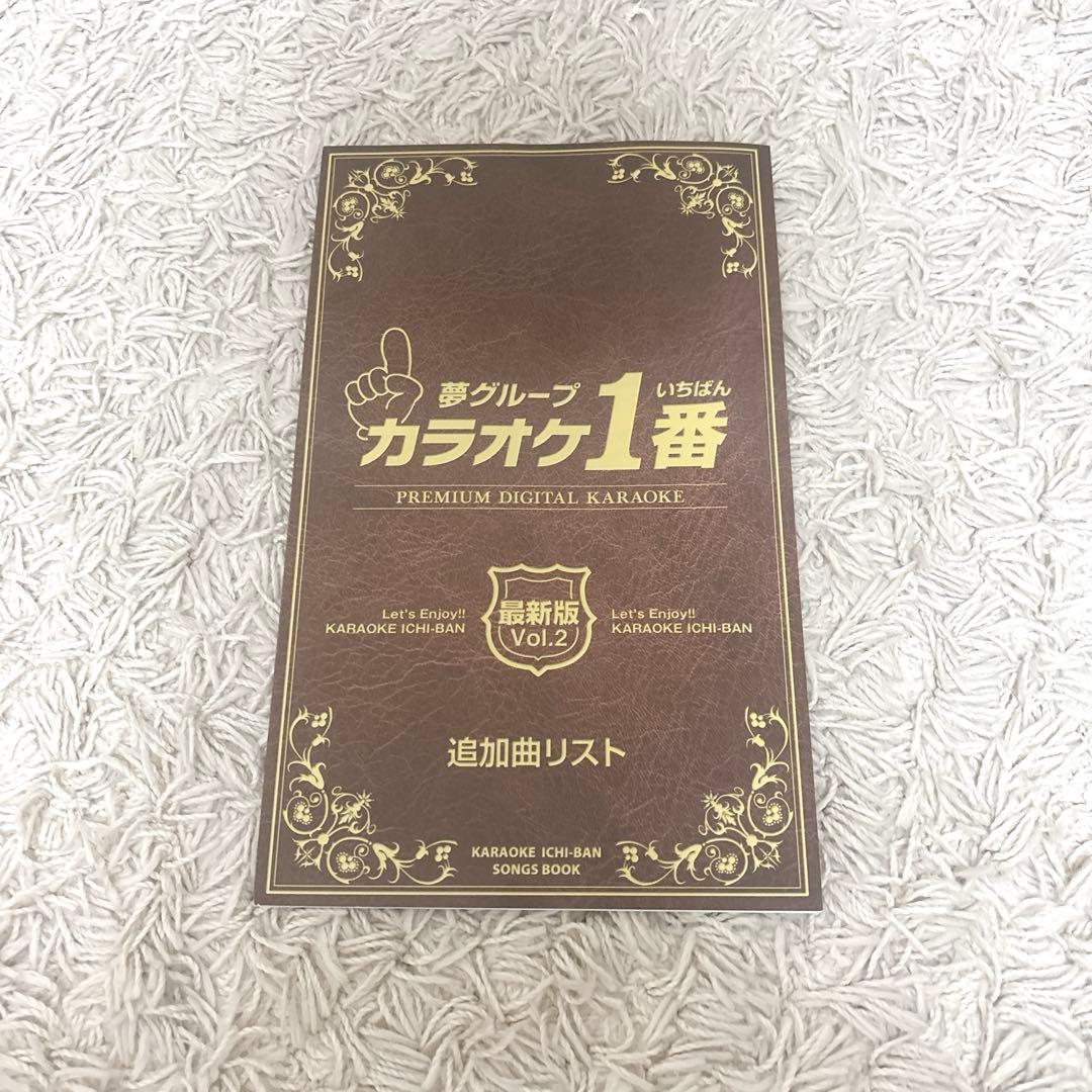 【極美品】夢グループ カラオケ1番　有線サブマイク付き