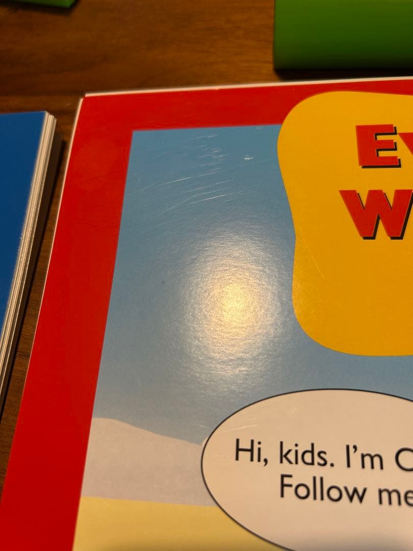EveryDaywithZippyエブリデイジッピーDVD