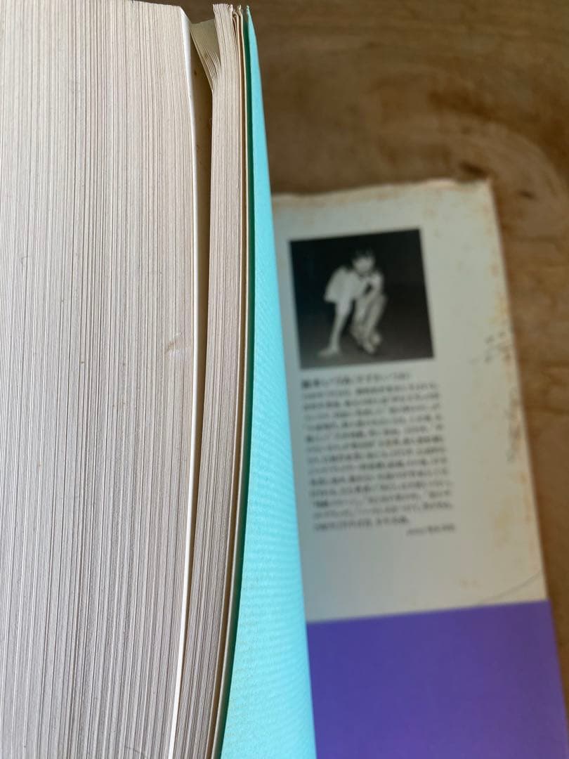 声のない日々 鈴木いづみ短編集 河出書房新社 帯付き 希少本