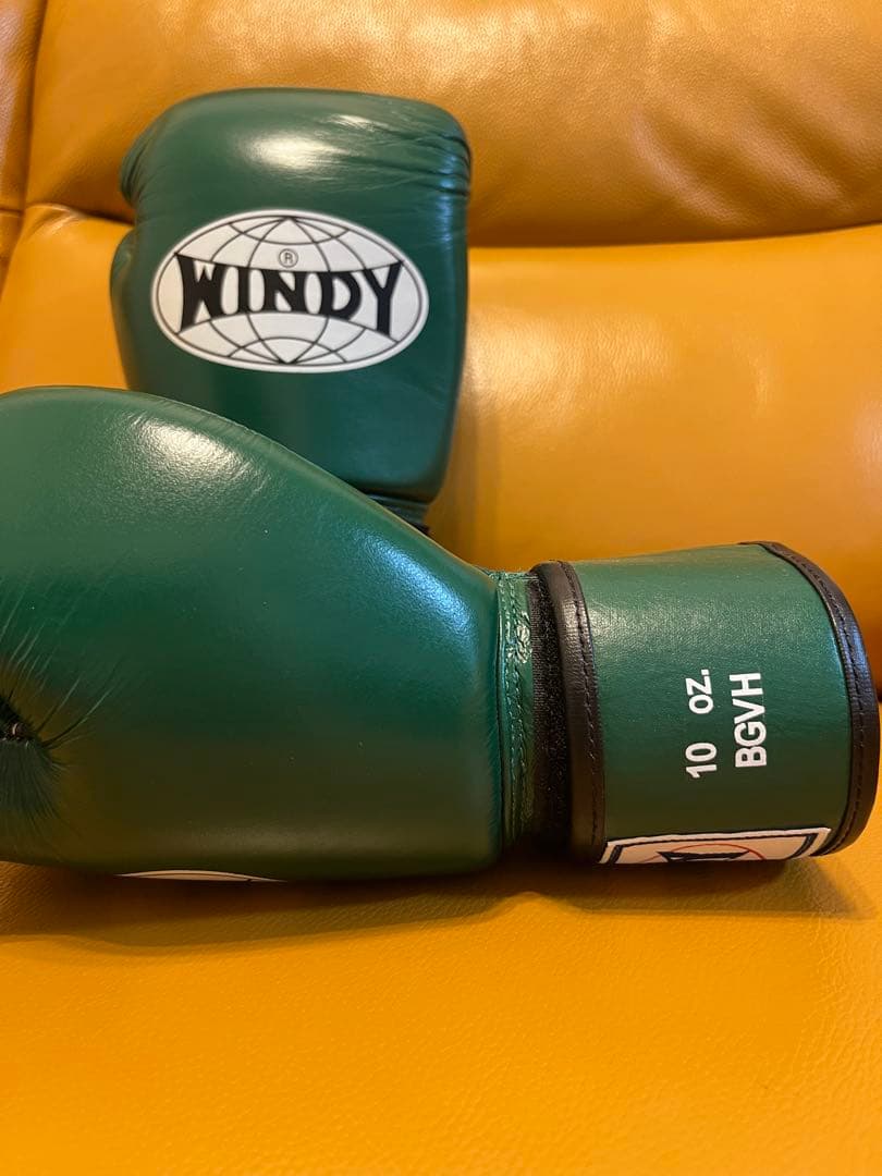 WINDY ボクシンググローブ 10 oz 緑