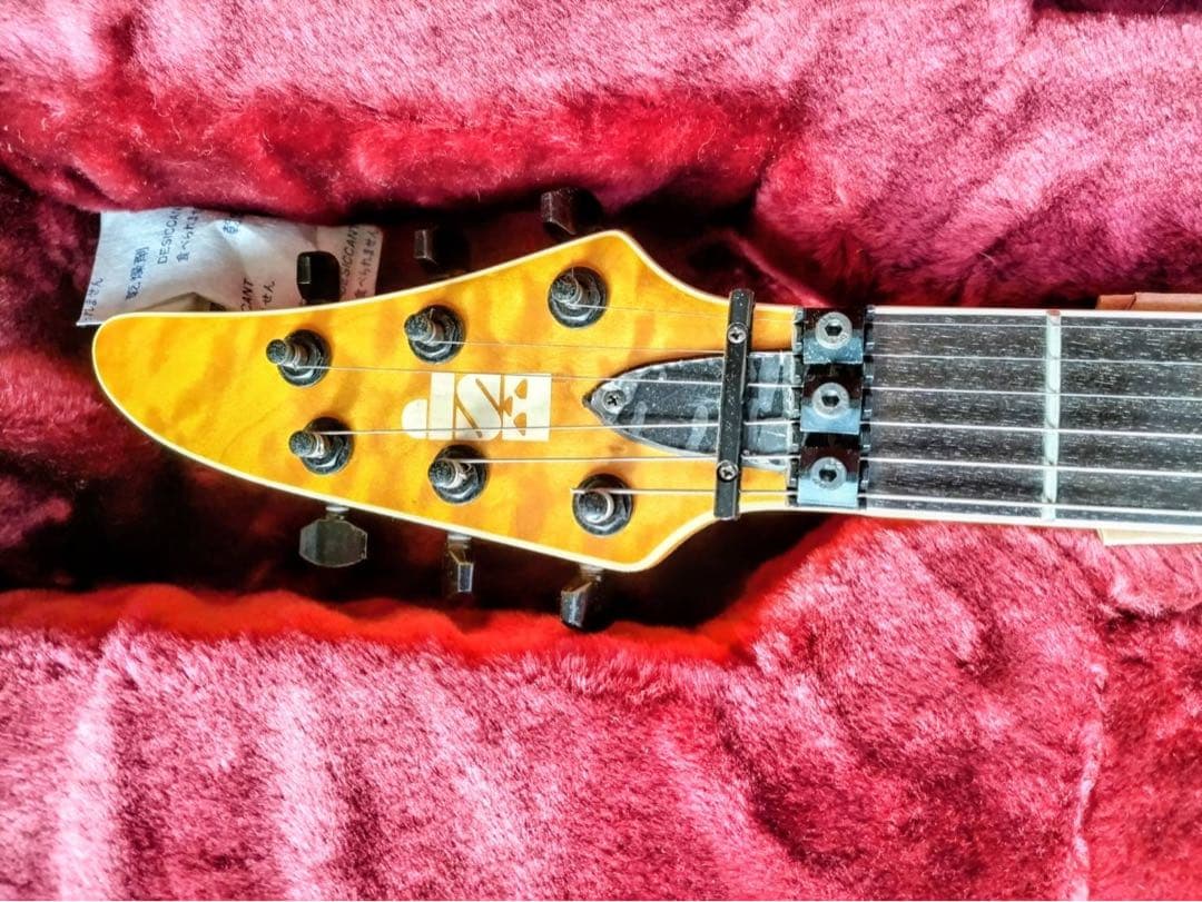 ESP ホライズンカスタム