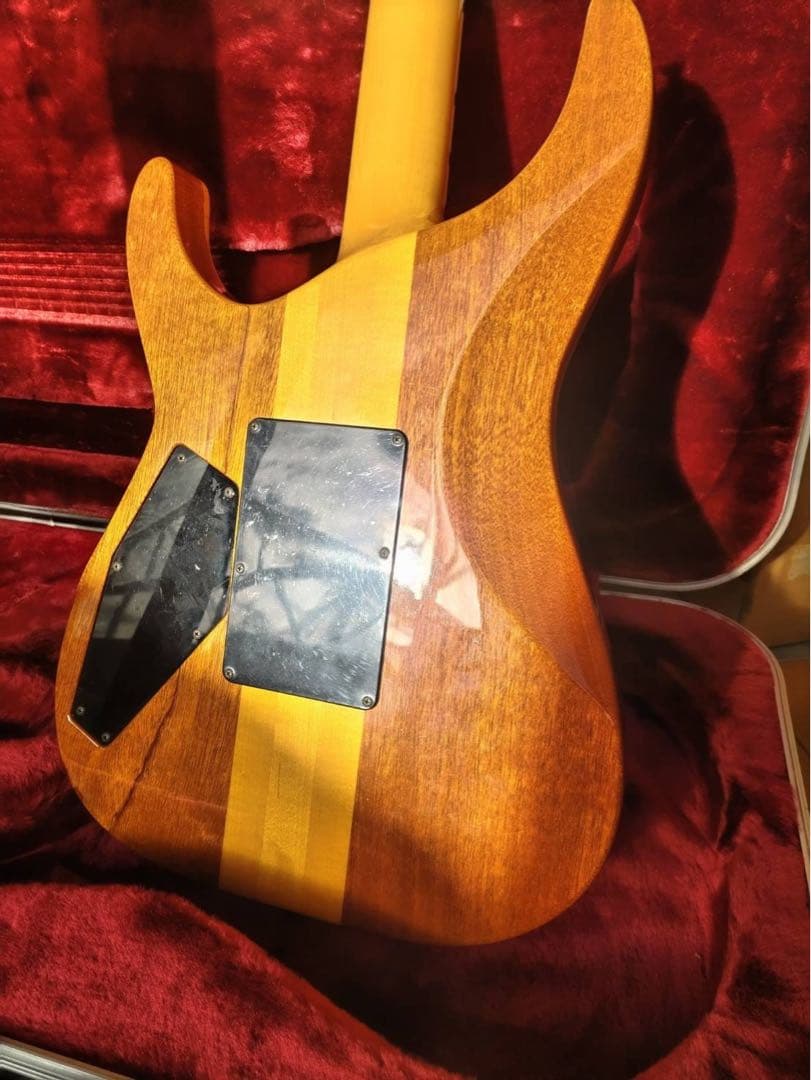 ESP ホライズンカスタム