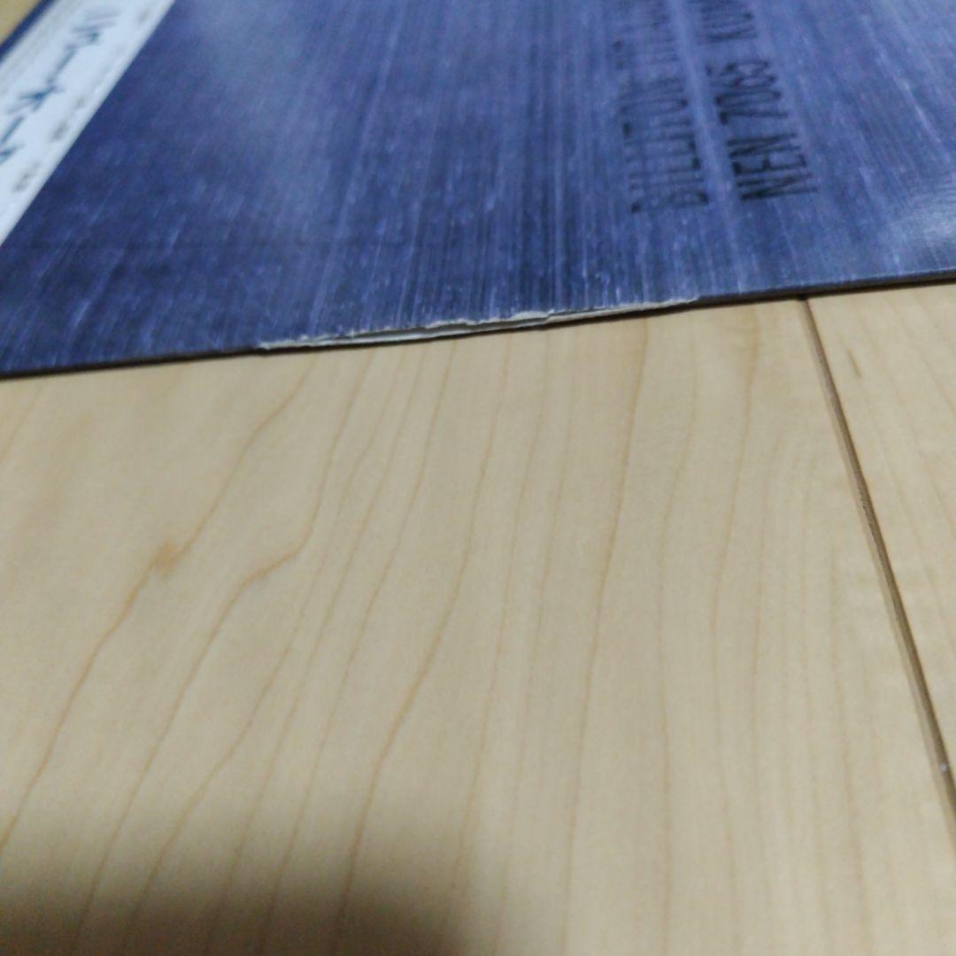 【帯付国内盤】ニュー・オーダー / ブラザーフッド レコード New Order