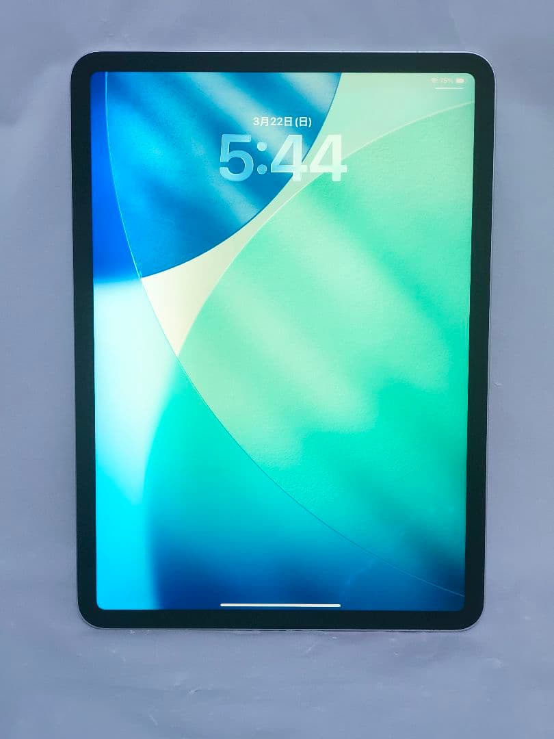 iPad Pro 11インチ 第1世代 512GB Wi-Fiモデル ジャンク