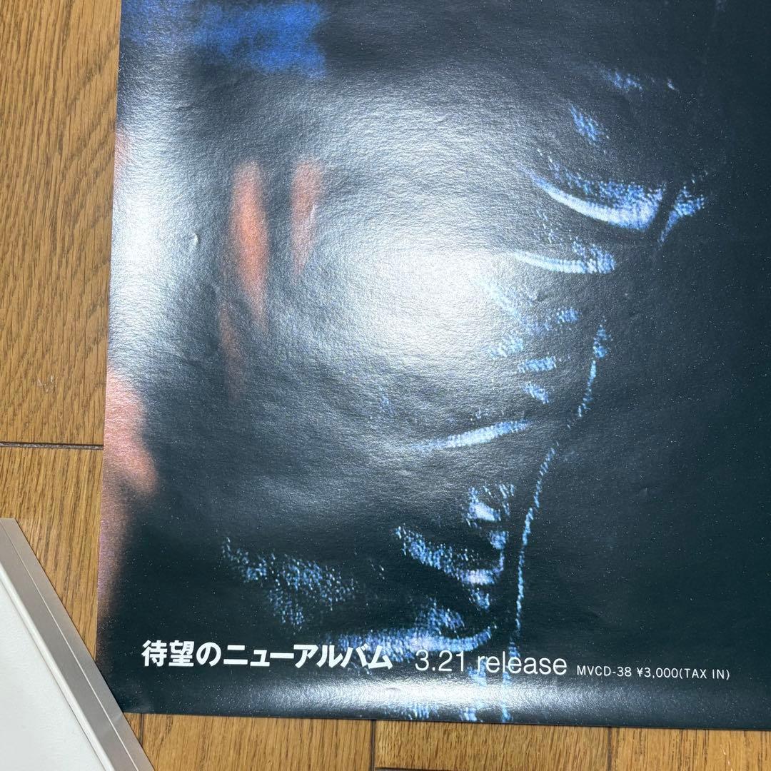 中森明菜 APPETITE プロモーションポスター　非売品　販促用
